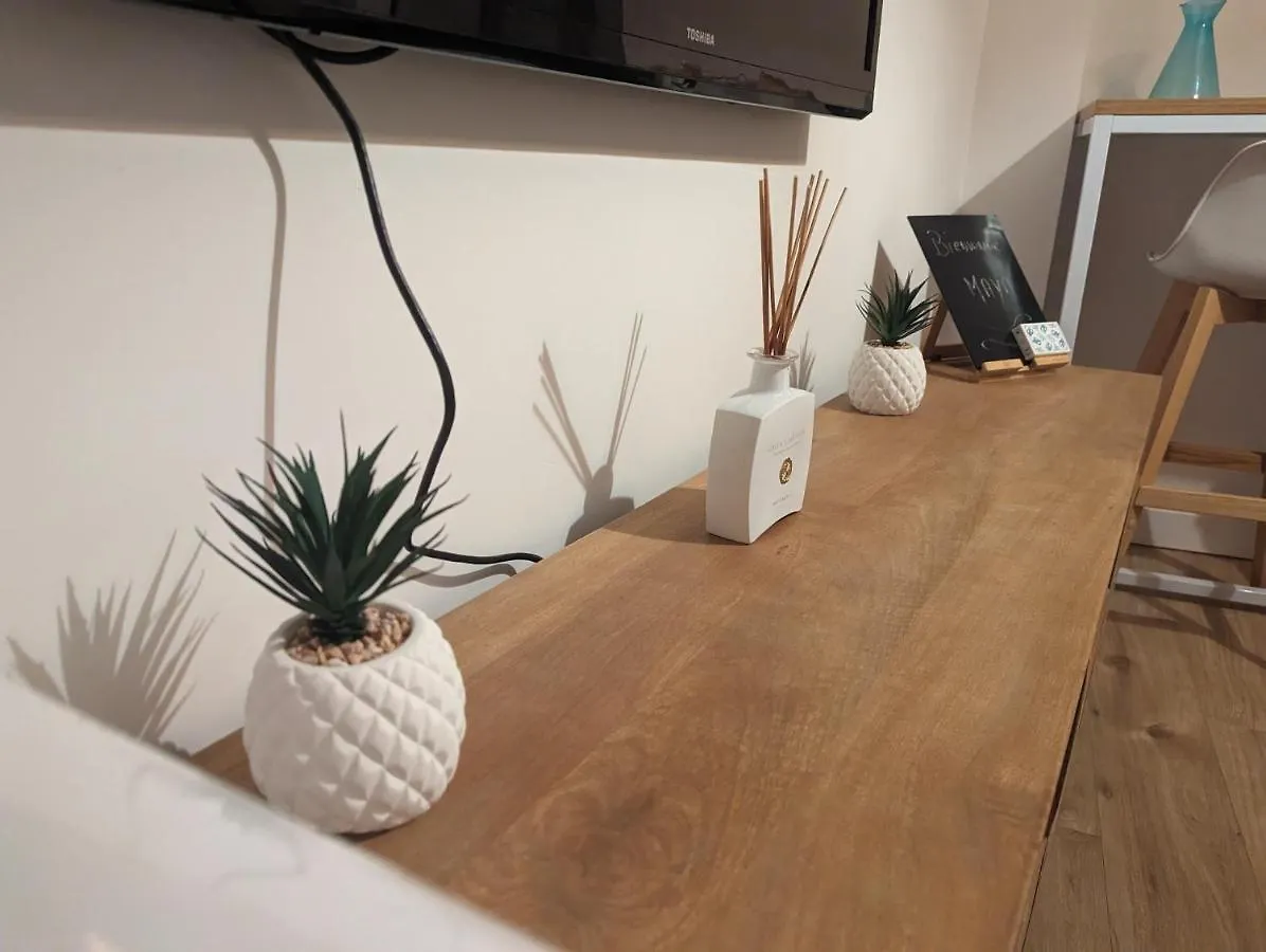 Ღ Le Cosy Brienne • T2 Au Centre-Ville Ღ Metro Toulouse Apartment